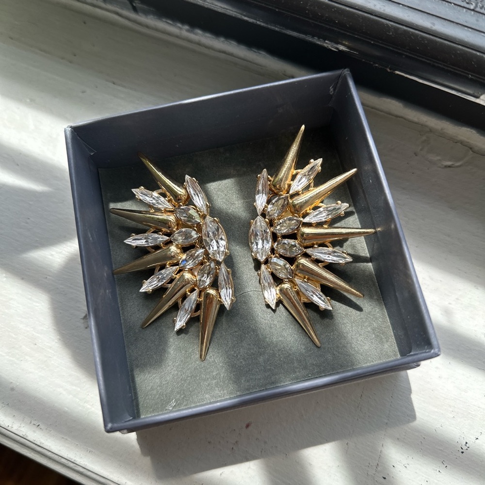 Anton Heunis earrings